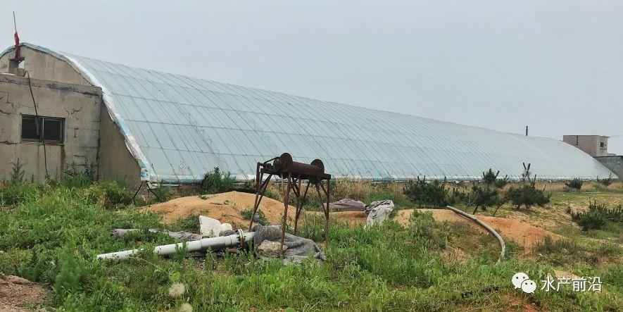 出蝦27斤/立方，連續(xù)三造成功后，工廠化養(yǎng)蝦在他看來(lái)并不難！